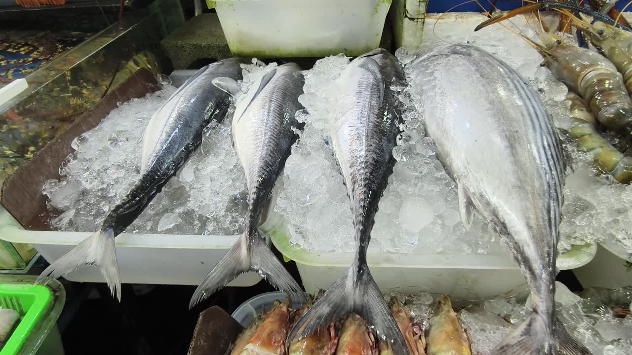 Fresh Fish and Seafood Display at a Market