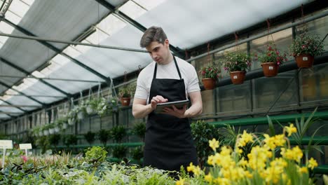 floristería digital: gestión eficiente del inventario con tecnología