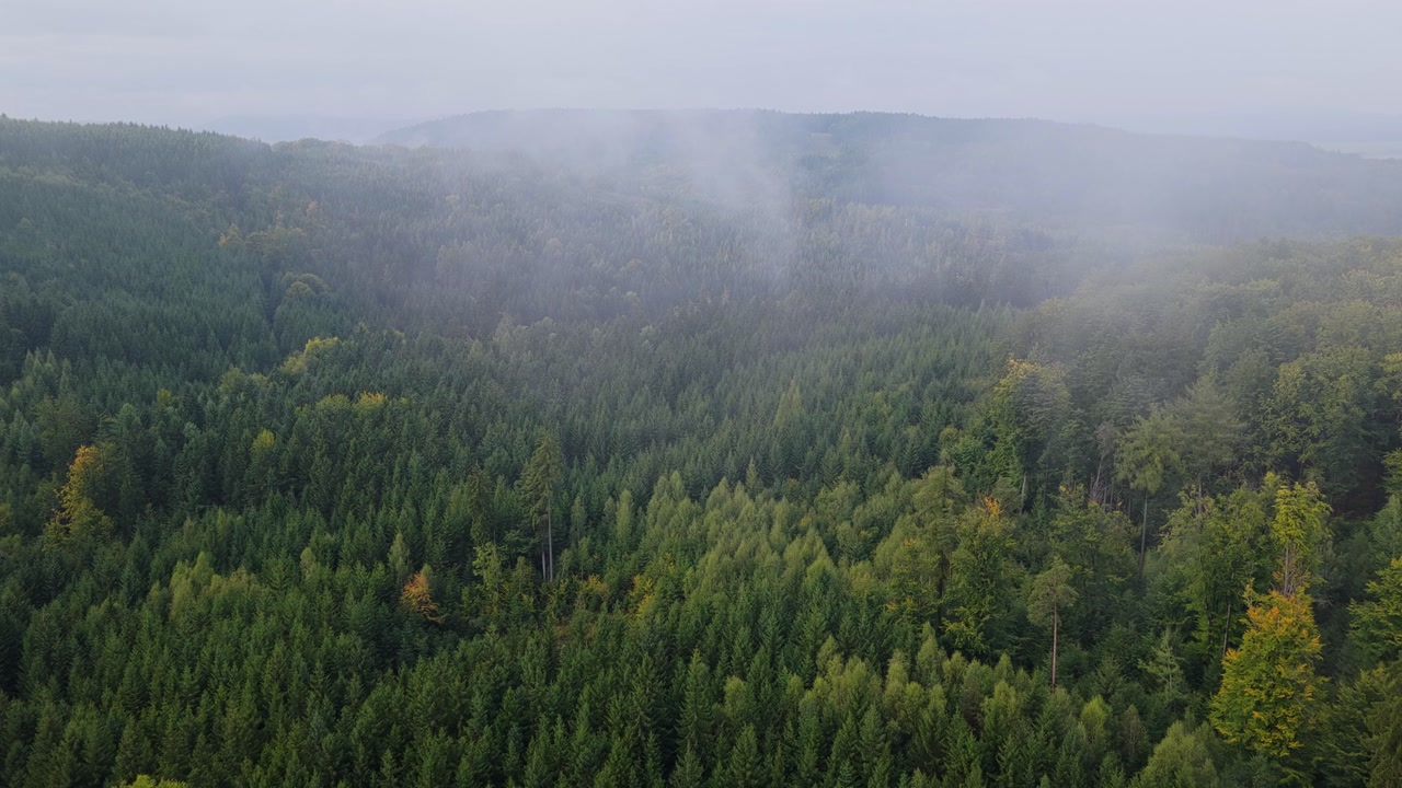 Deep green forests in the mountains in the Czech Republic on a cold autumn day with fog. Drone view