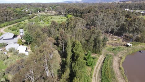 panorámica aérea de drones sobre la línea de árboles en una granja de permacultura con una presa en victoria