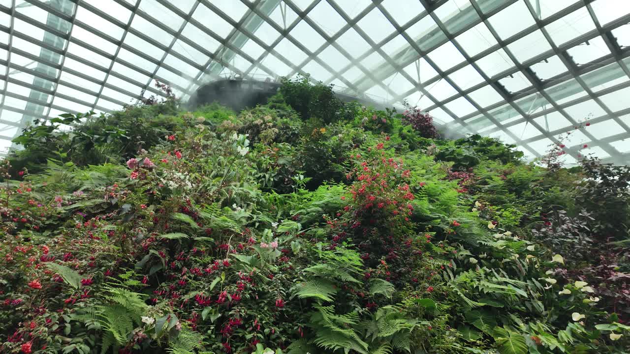 Serra conservatorio naturale Cloud Forest nei Gardens by the Bay di Singapore.