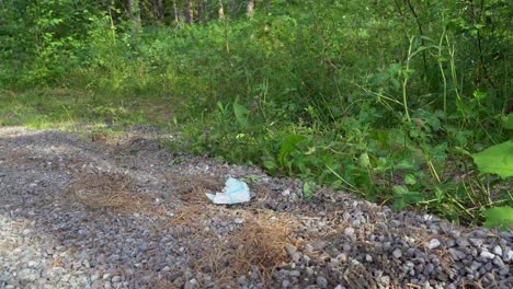 used facemask thrown in nature - laying on gravel-road close to green grass and forest - littering problem - static