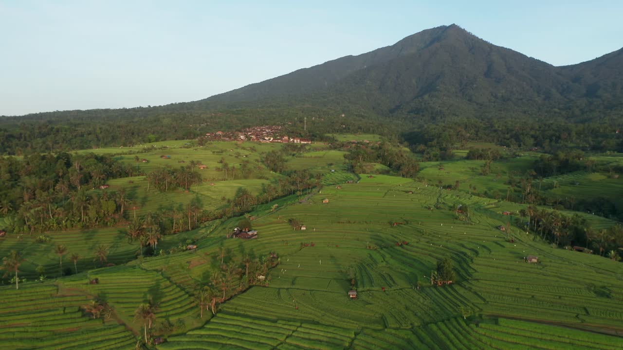 campos de arroz jatiluwih en bali durante el amanecer con montañas, antena