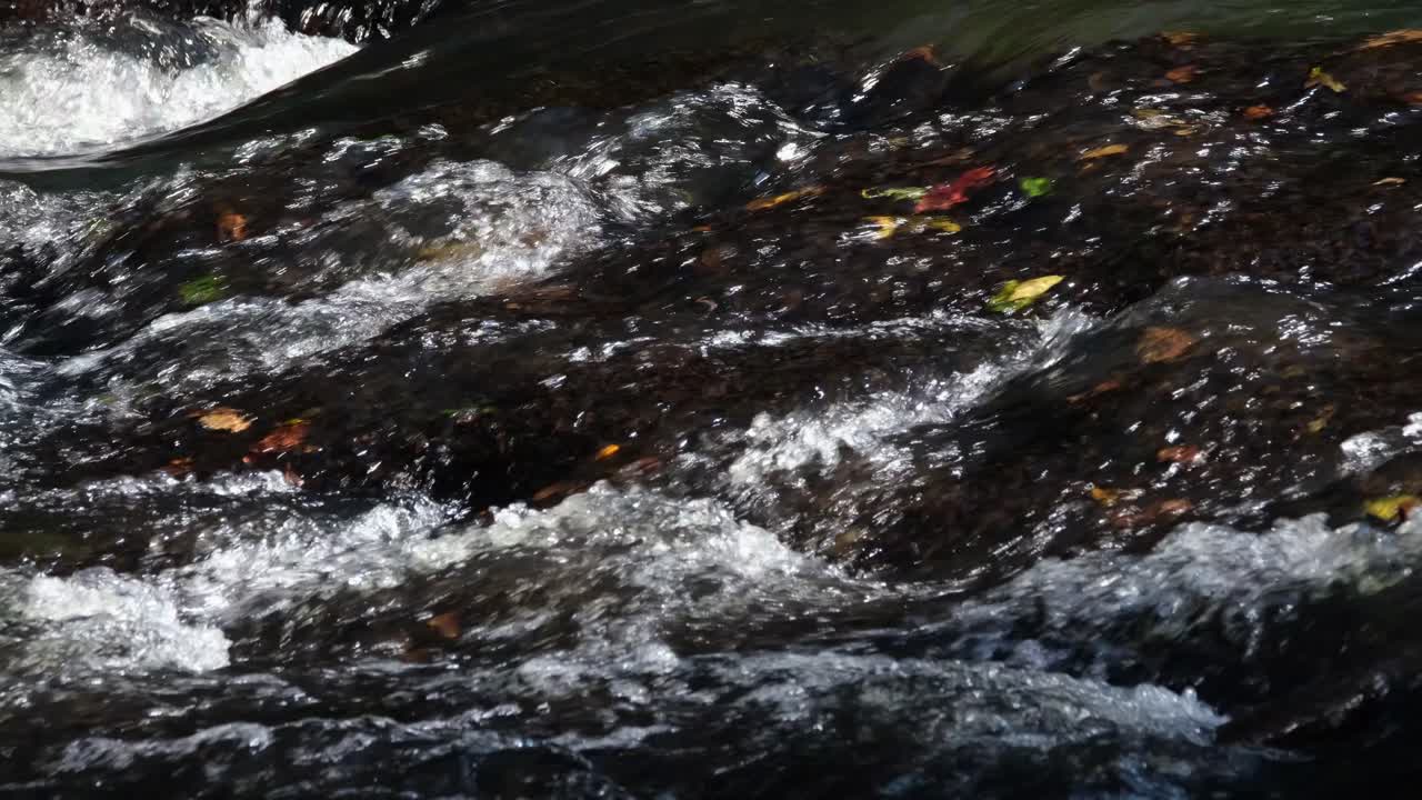 Acqua di fiume nella giungla che scorre attraverso un passaggio poco profondo con rocce che creano schiuma e bolle