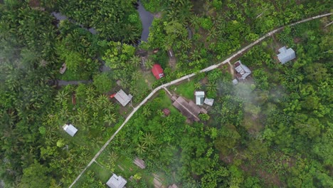 drone aerial view of trees tropical rainforest jungle west sumatra mentawai islands regency indonesia small village