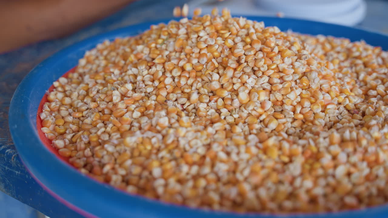 Prepared corn mound on plate. Household corn collection in soft daylight. Freshly arranged corn on dish with warm lighting. Closeup view of corn heap on dish under warm natural light