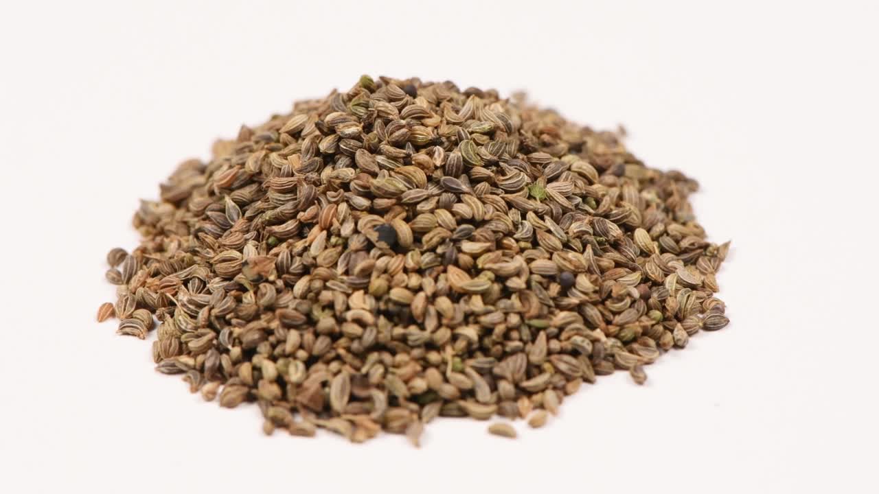 Parsley seeds close up. Counterclockwise rotation. Side view. Loop motion. Rotation 360.