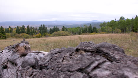 wide-shot-New-Mexico-country-side