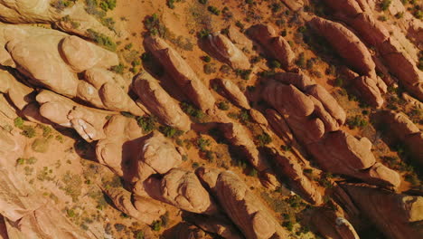 descending over the rocks diverse in size and shape. arches canyon in utah, usa on sunny daytime from top view.