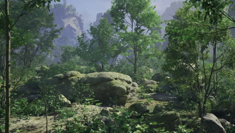vibrant forest landscape featuring sunlit greenery and rocky terrain