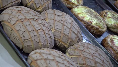 Traditional-Mexican-artesian-bread-called-Concha-displayed-awaiting-customers