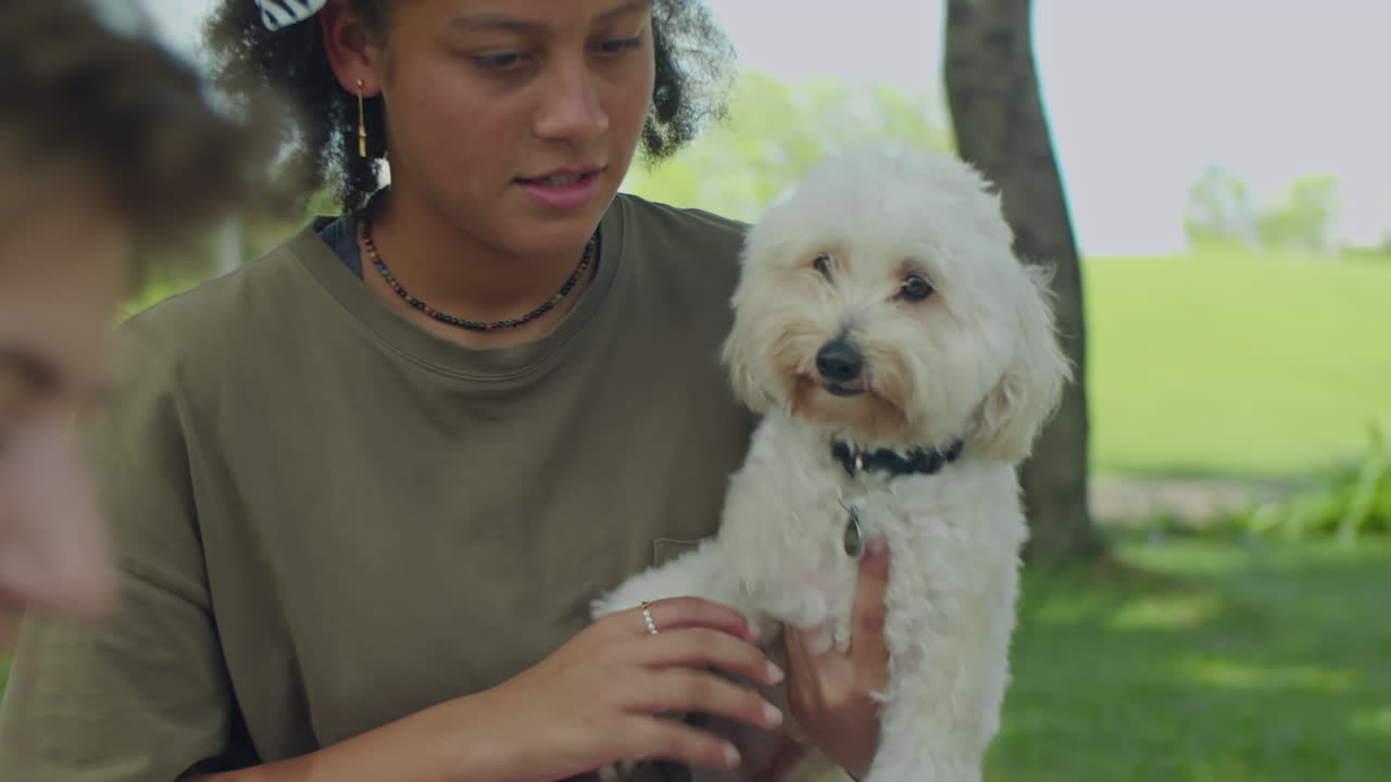 Friends Petting Cute Dog during Summer Picnic Outdoors