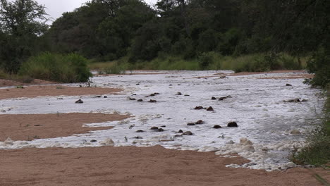 Un-Lecho-Seco-De-Un-Río-Africano-Se-Llena-De-Agua-Espumosa-Después-De-Fuertes-Lluvias.