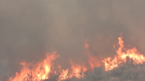 Un-Aterrador-Incendio-Forestal-Fuera-De-Control-Y-Ardiendo,-Humo-Denso-Y-Llamas