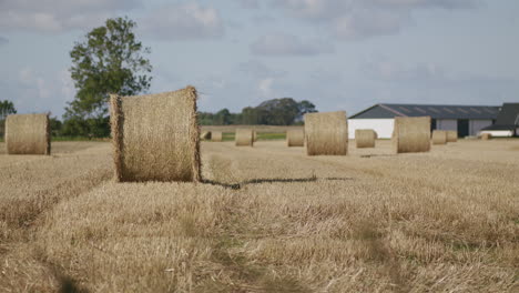 tiro de dolly de um campo colhido com fardos de feno, ao lado de uma casa e uma árvore grande