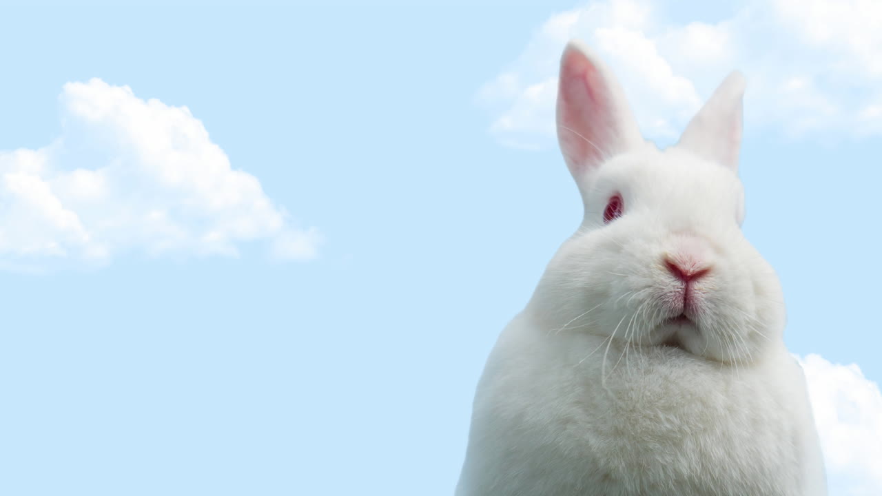 コピースペースで青い空の上のイースターウサギのアニメーション