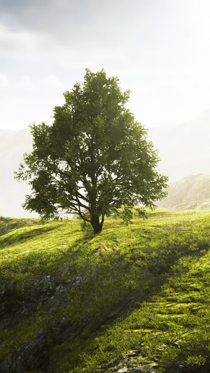 Sunset shadows cast evening light shapes gentle hill landscapes beautifully