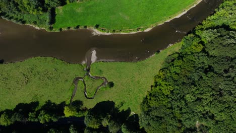 Aerial view of a river flowing through a meadow and forest