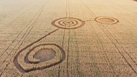 intrincados patrones de círculos de cultivo en un campo de trigo