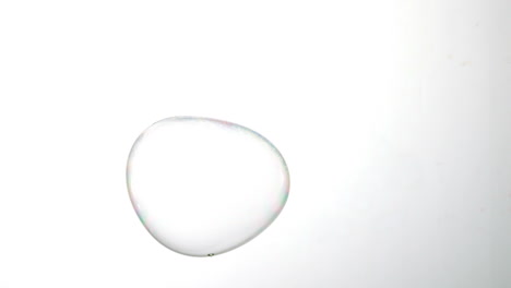 giant bubble floating on white background