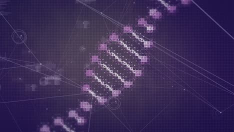 Animation-of-network-of-connections-with-icons-with-dna-strand-spinning-on-purple-background