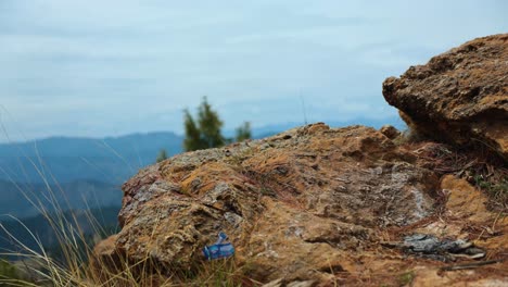young hiker walking in forest, young man walking in forest, footage of a young man hiking and walking through a scenic, forested mountain terrain, hiking