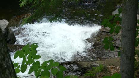 A-small-waterfall-in-a-forest,-Quebec,-Canada,-medium-shot-panning-left