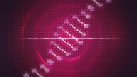 animación de la cadena de adn sobre círculos rojos
