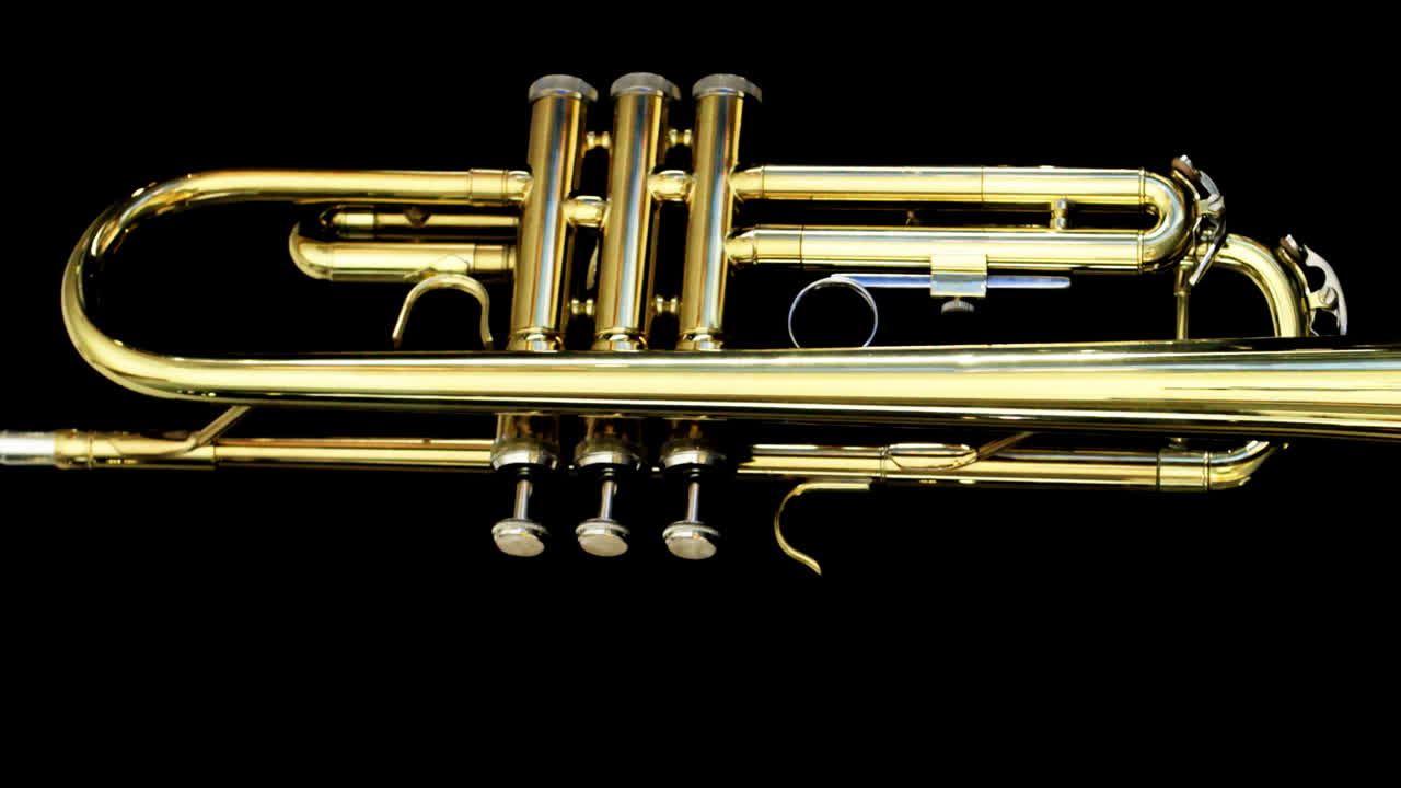 Trumpet 11