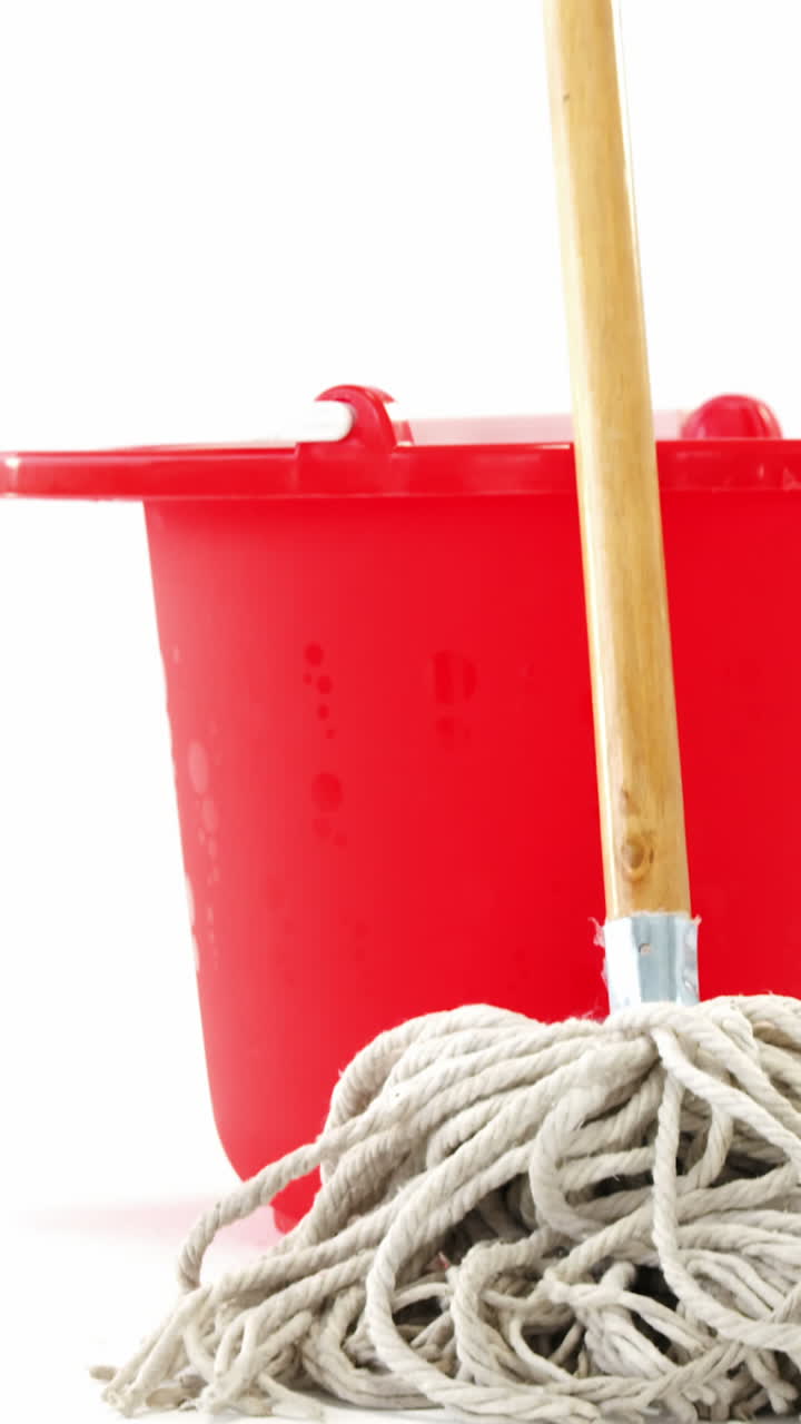 Mopping bucket with floor mop