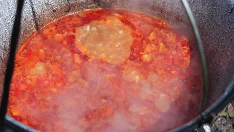 slow motion close up of goulash cooking in