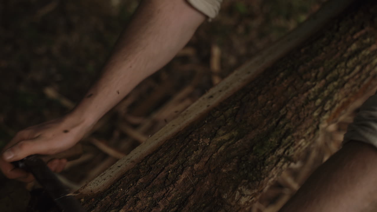 Medieval Craftsman Sawing Wood