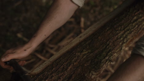 medieval craftsman sawing wood