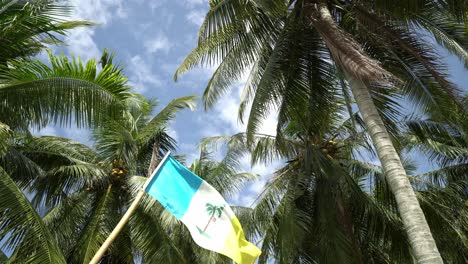 penang flag wave at coconut palm tree