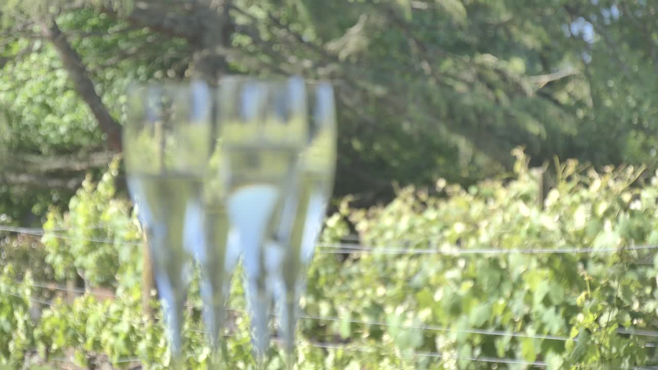 페인, 맥주, 와인, 주스 및 음료의