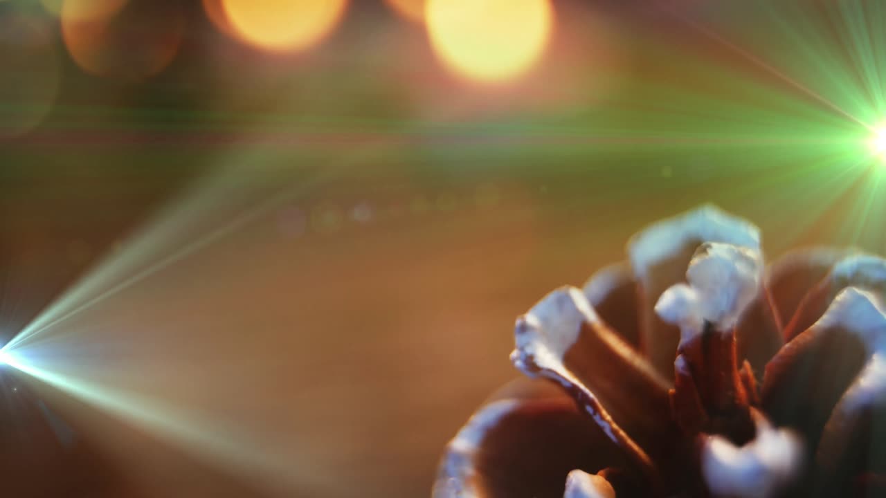 Animation of glowing lights moving over fir tree cone christmas decorations