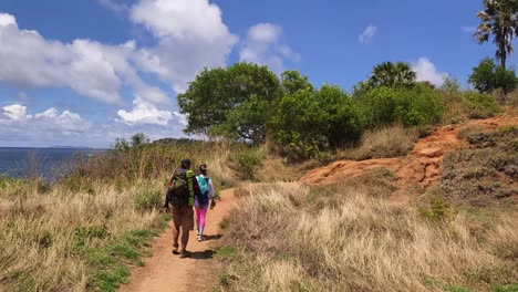 hiking path on a sunny island coastline