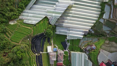 general landscape view of the brinchang district within the cameron highlands area of malaysia