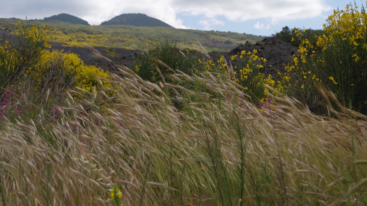 Scenic landscapes in spring around the volcano Mt. Etna in Sicily, Italy