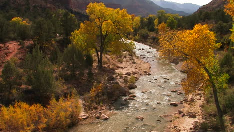 un río fluye a través de un hermoso bosque de otoño