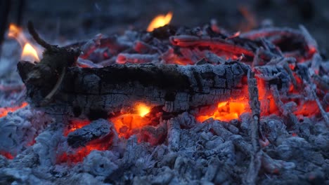 Lagerfeuer-Verbrennt-Zu-Asche-Und-Brennt-Langsam-Aus