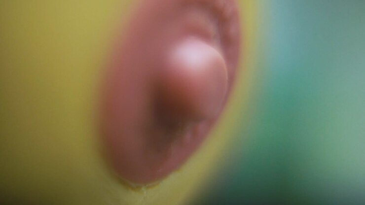 Macro hyper close up shot of a silicone nipple, baby equipment, health care, Full HD