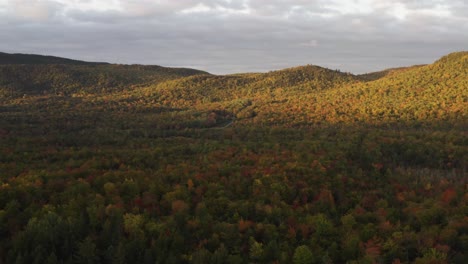 Farben-Des-Herbstes-Weite-Landschaft-Erschossen-Laubwald-Wildnis