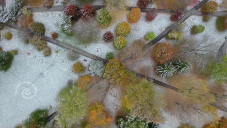 autumn elegance: leaves blanketed in snow