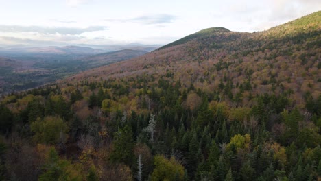 aerial shot of fall colors at grafton notch state park, maine