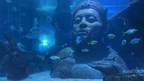 Dive into Bangkok&#039;s vast aquarium, where a multitude of fish swim amid a stunning stone station, creating an enchanting underwater spectacle