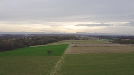 vuelo épico cinematográfico sobre el campo agrícola en otoño con hojas de árboles rojos dorados y montañas a lo lejos, hora dorada del atardecer y noche nublada y ventosa