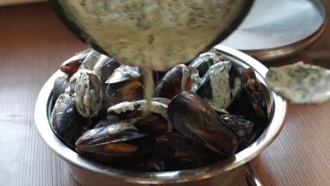 cook sea shellfish. mussels with garlic sauce
