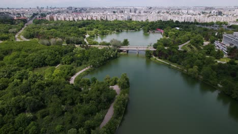 aerial view in the park on a sunny day