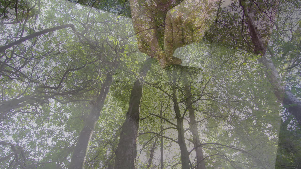 Touching tree branches, hands exploring nature in lush green forest animation